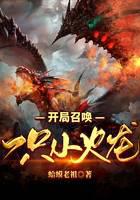 開局召喚一只小火龍